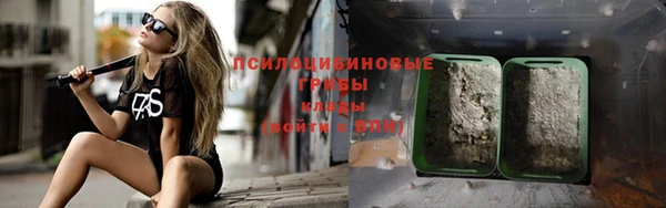 дживик Нефтекумск
