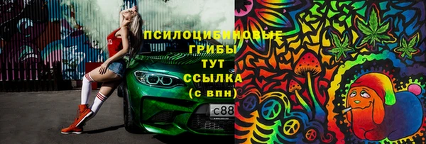 mdpv Нея