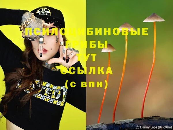 трава Нефтегорск