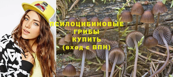 марихуана Абаза