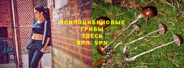 мескалин Абинск