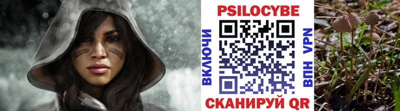 Галлюциногенные грибы Psilocybe где купить наркоту Шиханы